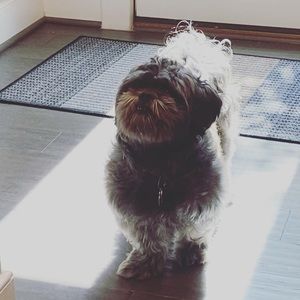 Meet your Posher, Maya